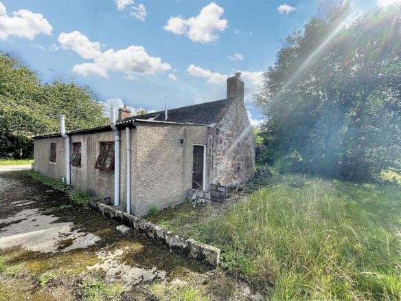 Crystal Valley floor plan