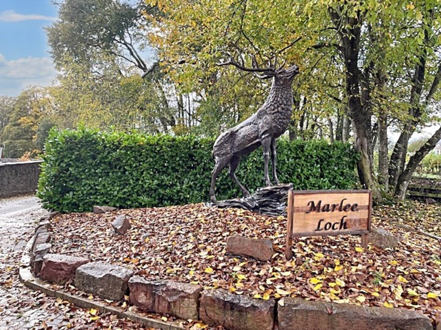 Marlee front